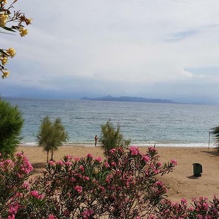 Perfect Beachfront Apartment Athen Exterior foto